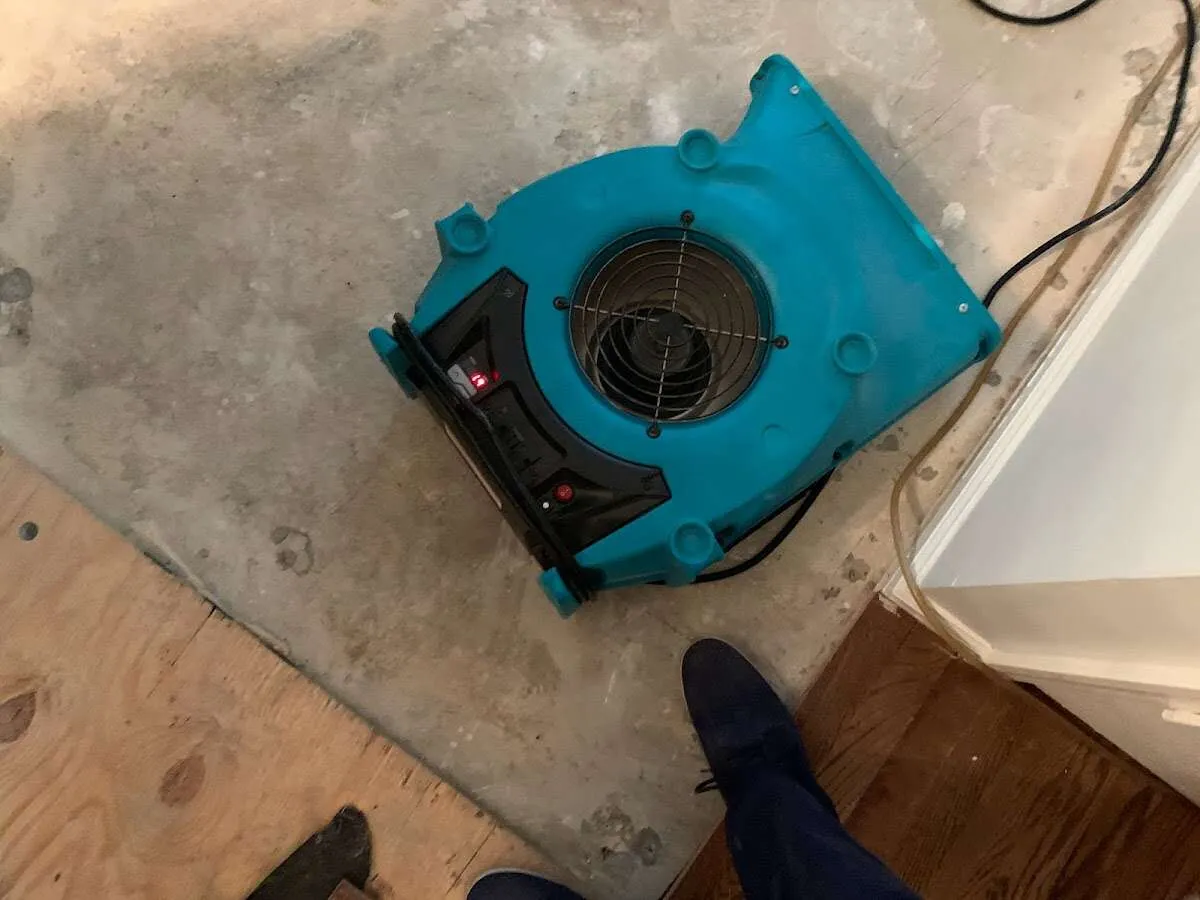 Air mover drying subfloor during Leak Detection & Repair in Farr West